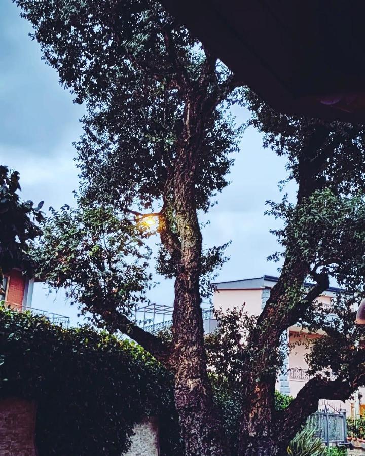 Villa Elisabetta ポンペイ エクステリア 写真